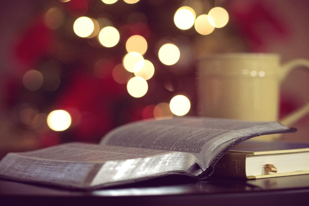 Books to get you through the Holiday Season
