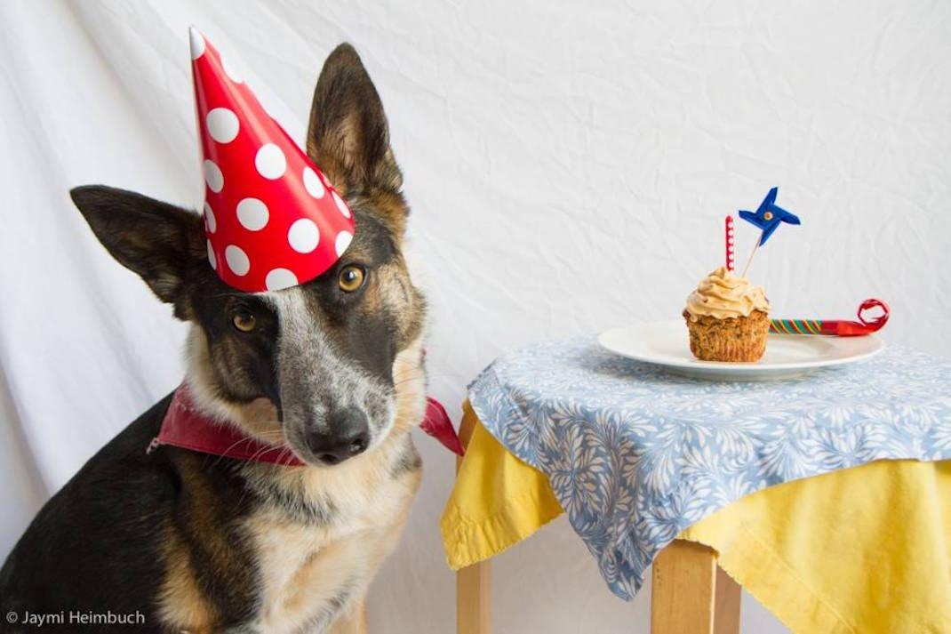 Enjoy your birthday the free way
