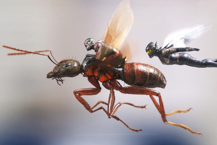 Marvel’s latest movie, Ant-Man and the Wasp, meets all the requirements of a true Marvel movie, with funny dialogue, an intriguing plot and end credits scenes leading to a later movie. (Photo/www.digitalspy.com)