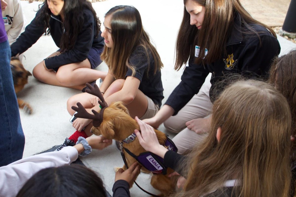 Many students outside of PAWS came to the therapy dog stress relief session to spend time with the many furry friends there; including a smaller dog named Emma. (Photo/Madison Lynn)