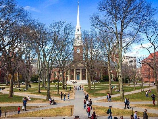 (Photo/Harvard University)