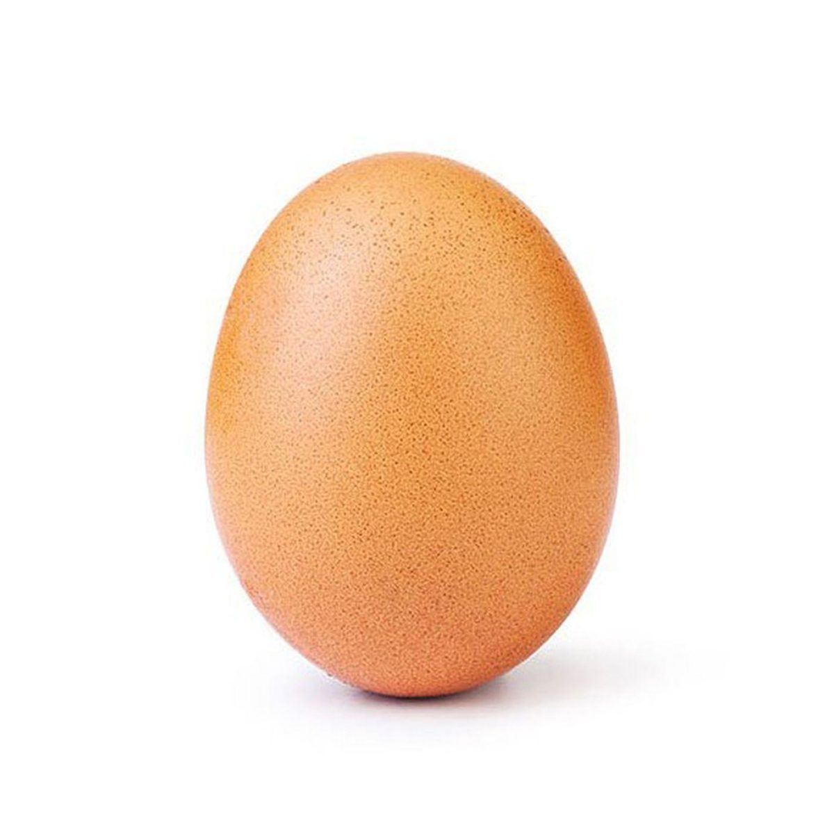 In less than two weeks, one egg beat years of Kardashian-Jenner fame, something Kylie Jenner jokingly showed her distaste for in her response to the record-breaking post. (Photo/@world_record_egg)
