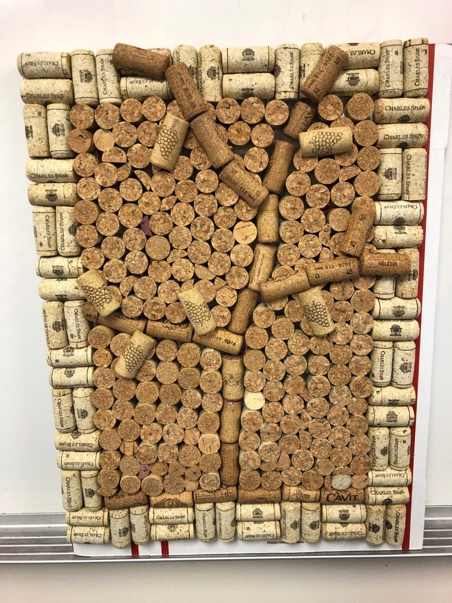 Raising money and awareness in one: Recycled Art Contest