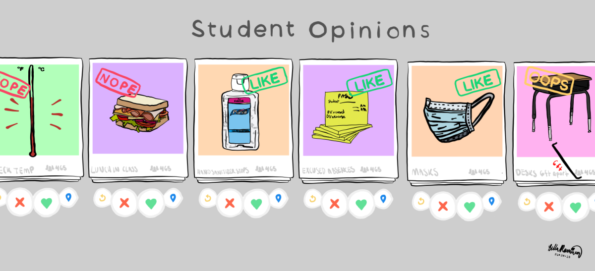 Student body on 2020 school year