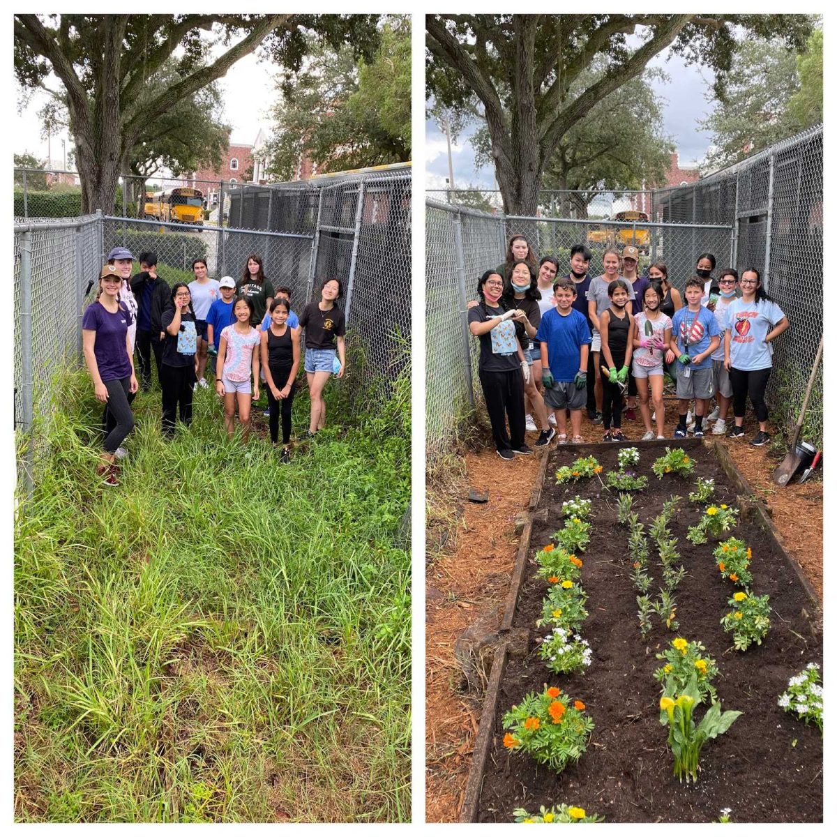 Dr. Couper shares her experiences as “a plant-based teacher"