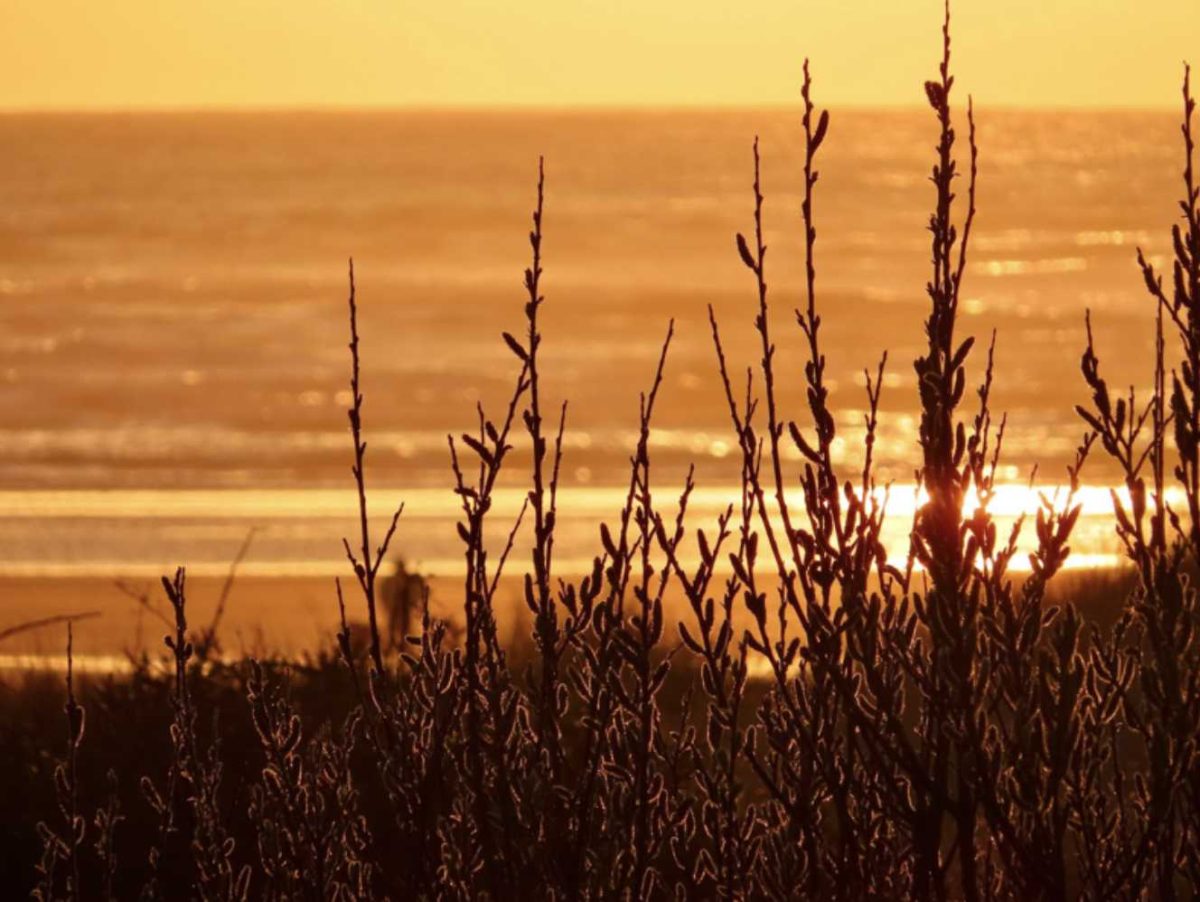 Temperatures soar in Europe and US