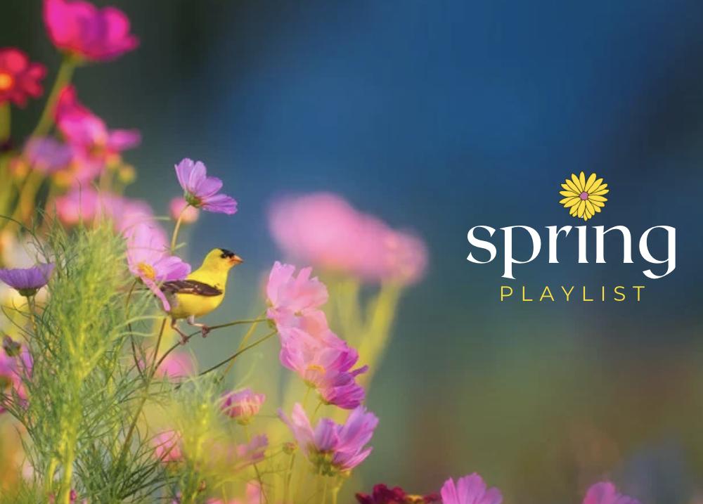 A playlist for spring