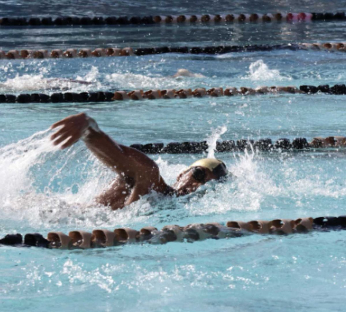 Varsity swimmers soar at state championship 