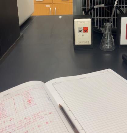 Delving into summer research programs in Florida