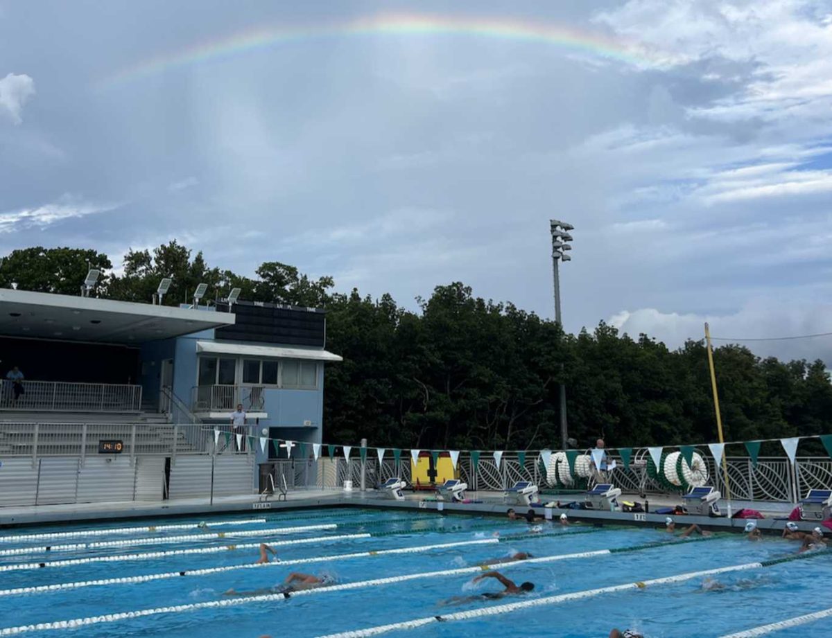 Varsity swimmers dive towards victory