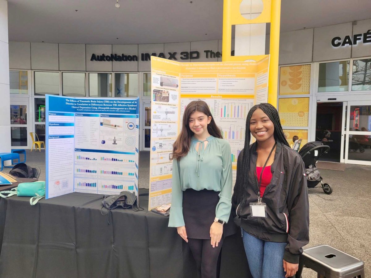 Researchers present at the MODS Science Festival, offering free discovery for all 